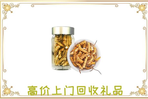 乐山周边回收虫草